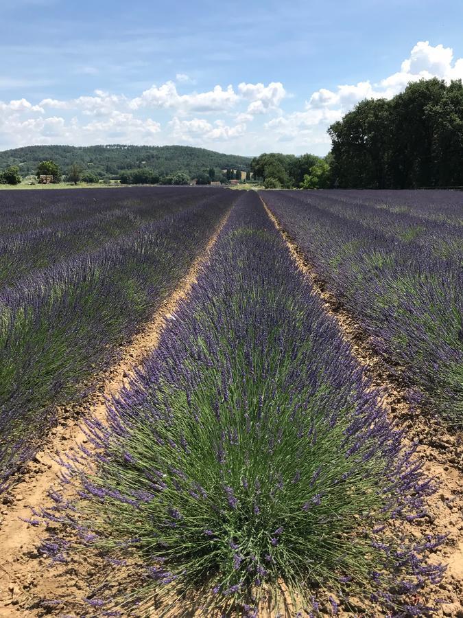 Les Sables D'Ocre & Spa Roussillon en Isere Eksteriør bilde